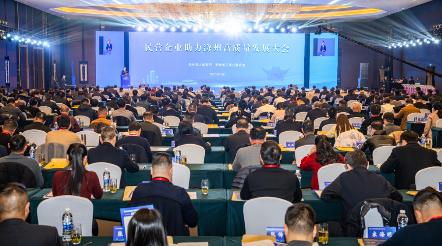 民营企业助力滁州高质量发展大会召开